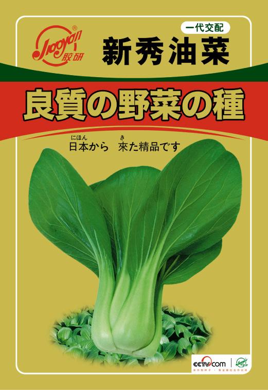  Xinxiu Rape——Rape